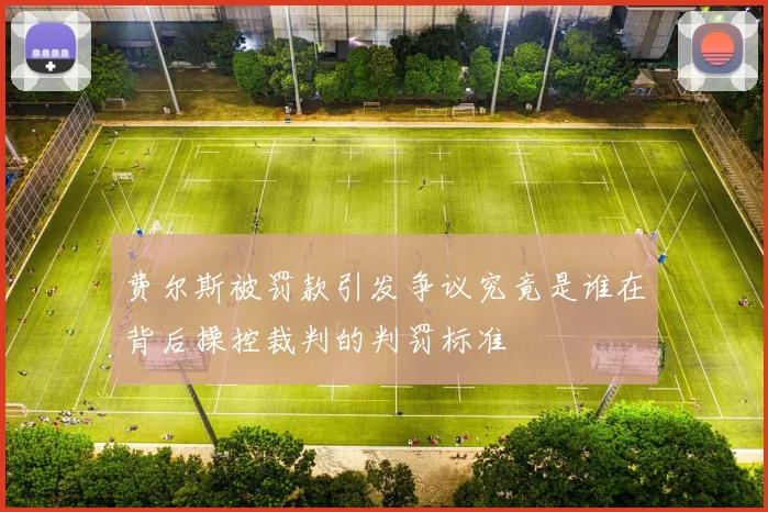 费尔斯被罚款引发争议究竟是谁在背后操控裁判的判罚标准