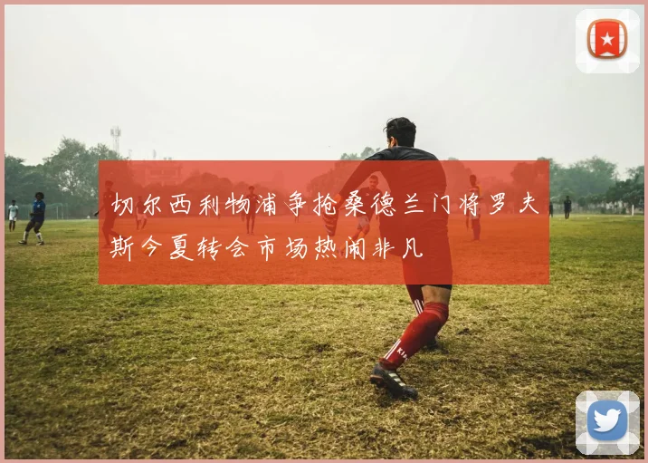 切尔西利物浦争抢桑德兰门将罗夫斯今夏转会市场热闹非凡